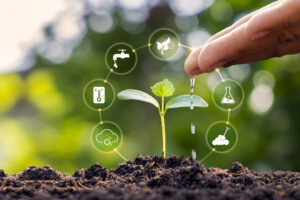 Depositphotos_490742590_L